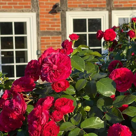 Wussegel * Hitzacker