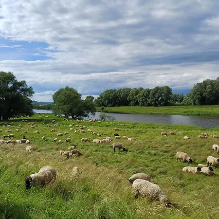 Wussegel Διαμέρισμα