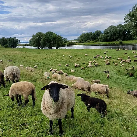 Διαμέρισμα Wussegel *